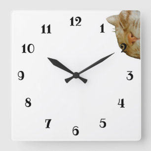 Text Custom SLEEPY CAT Acrylic Wall Clock