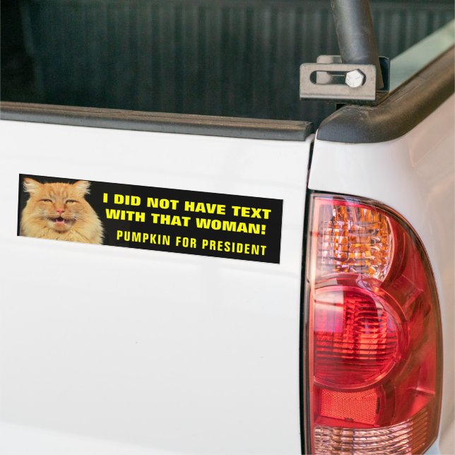 Texting? Not this Cat! Bumper Sticker (On Truck)