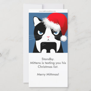 Texts from Mittens Christmas Photocard Holiday Card