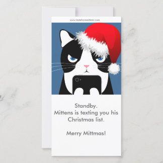 Texts from Mittens Christmas Photocard Holiday Card