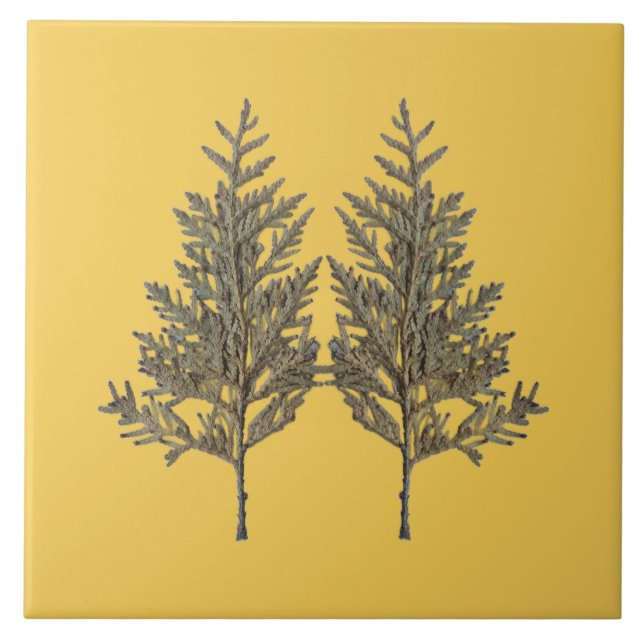 Textural Treasures of Winter on Ceramic Tile - D2 (Front)