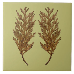 Textural Treasures of Winter on Ceramic Tile - D3
