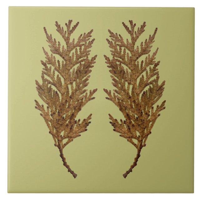 Textural Treasures of Winter on Ceramic Tile - D3 (Front)