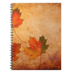 Texture background maple notebook