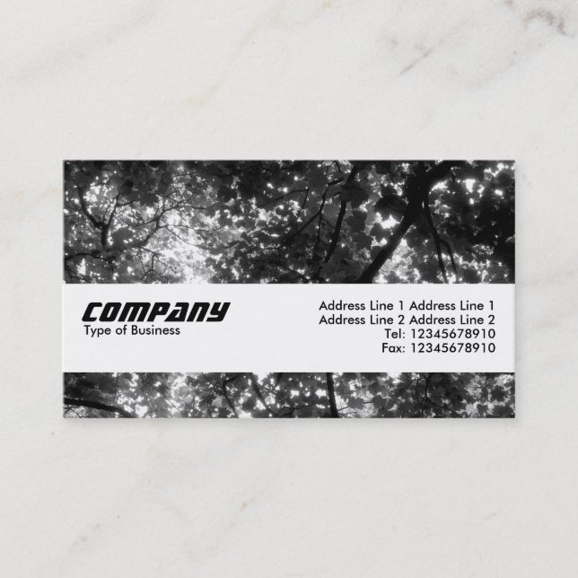 Texture Band - In the Trees II Business Card (Front)