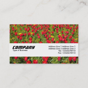 Texture Band - Tulips II Business Card