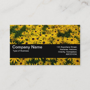 Texture Band V2 - Black-eyed Susans (Rudbeckia Hir Business Card