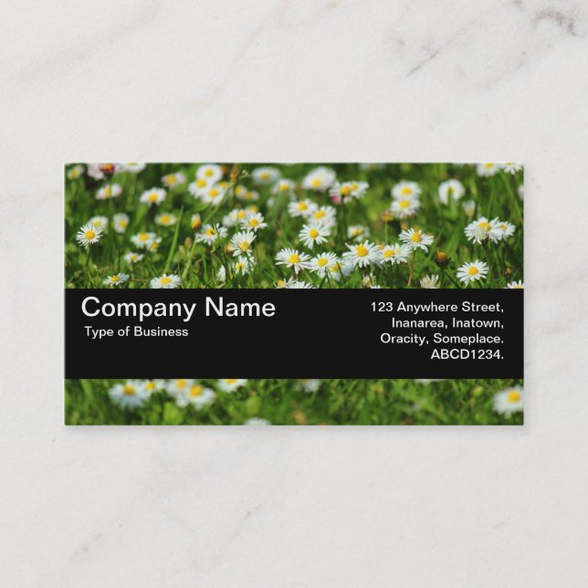 Texture Band V2 - Daisy Meadow Business Card (Front)