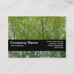 Texture Band V2 - Japanese Maple Business Card