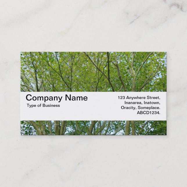 Texture Band V2 - Japanese Maple Business Card (Front)