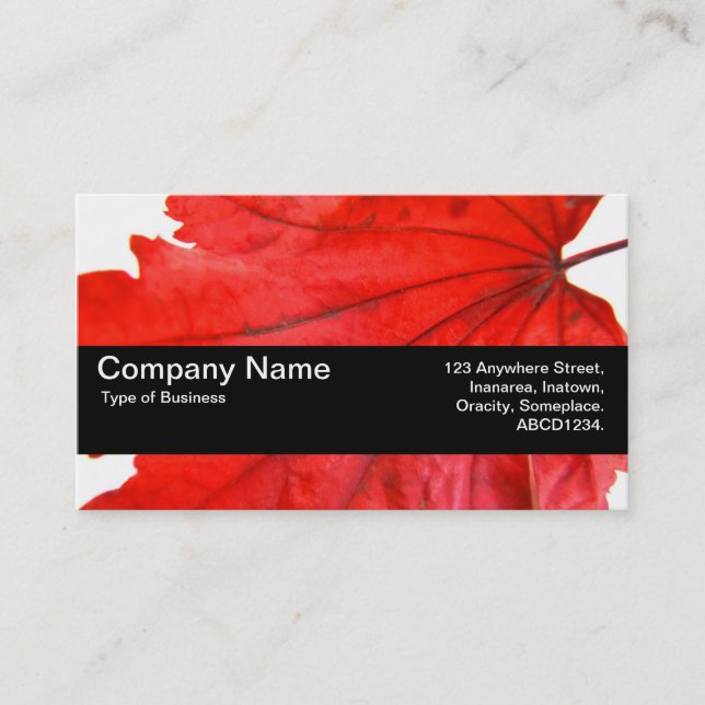 Texture Band V2 - Japanese Maple Leaf Business Card (Front)