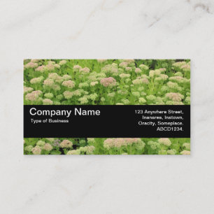 Texture Band V2 - Sedum (Autumn Joy) Business Card