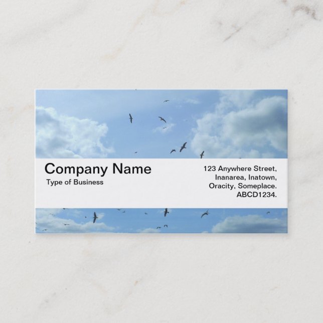 Texture Band V2 - Sky and Seagulls Business Card (Front)