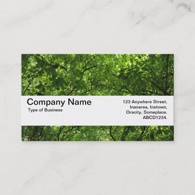 Texture Band V2 - Woodland Canopy Business Card (Front)