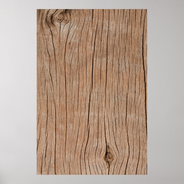 Texture of bark wood use as atural backgroundbackg poster (Front)