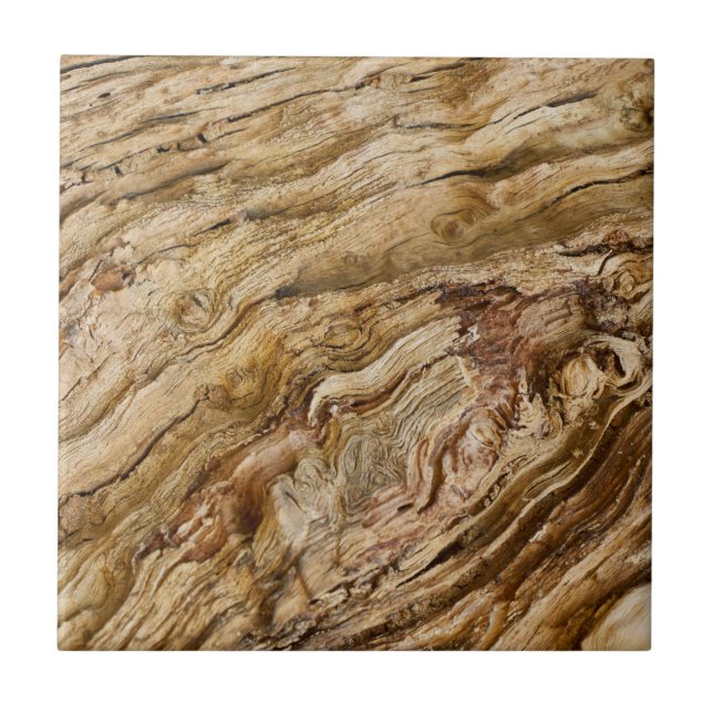 Texture of natural wood ceramic tile (Front)