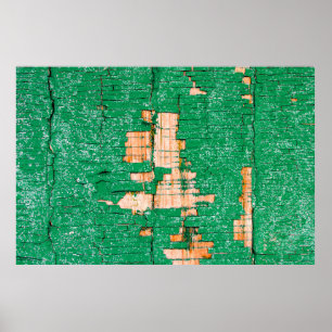 Texture of old wooden fence with shabby paint. Gre Poster