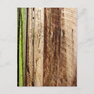 Texture Postcard