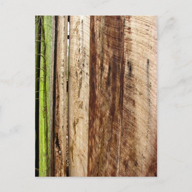 Texture Postcard (Front)