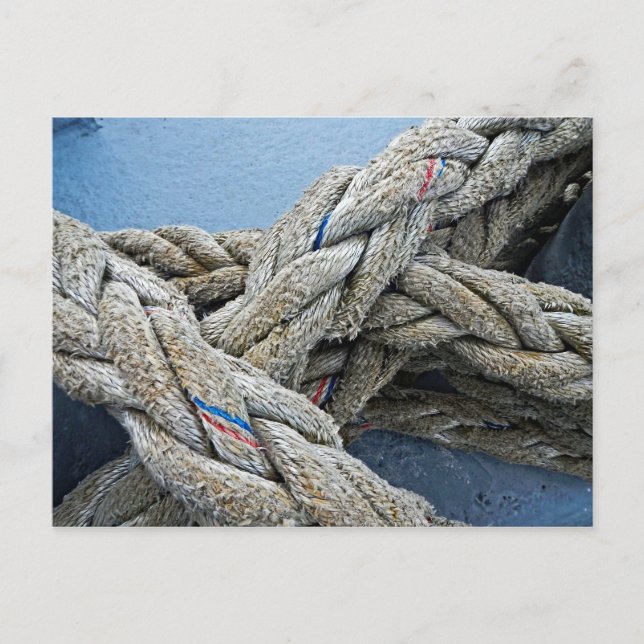 Texture:  Rope III Postcard (Front)
