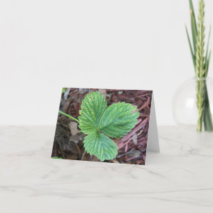 Texture strawberry leaves card