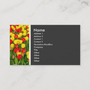 Texture Tone (Colourful Tulips) Business Card