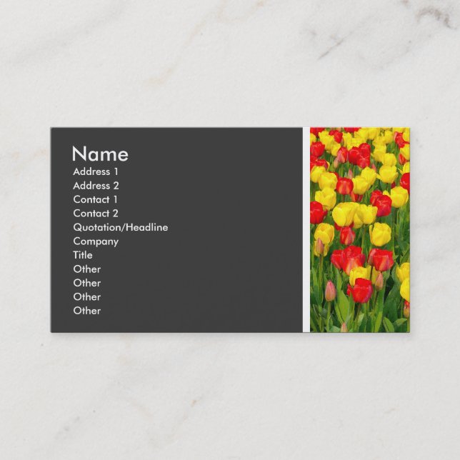 Texture Tone (Colourful Tulips) Business Card (Front)