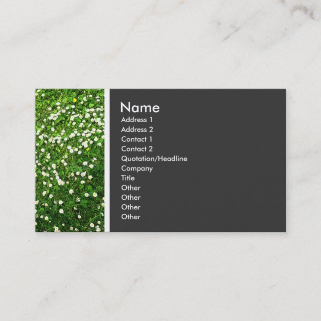 Texture Tone (Daisy Lawn) Business Card (Front)