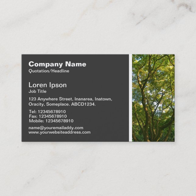 Texture Tone - Magnolia Tree Business Card (Front)