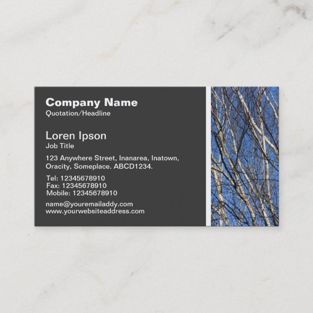 Texture Tone - Silver Birch Branches 02 Business Card (Front)