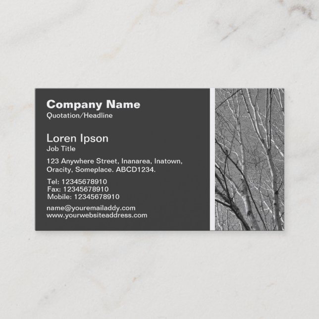 Texture Tone - Silver Birch Branches Business Card (Front)