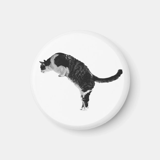 Textured Cat Magnet (Front)