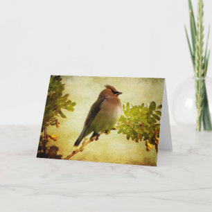 Textured Cedar Waxwing Greeting Card