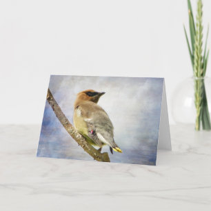 Textured Cedar Waxwing Greeting Card