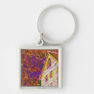 Textured colourful house key ring