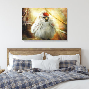 Textured Common Redpoll Warbler Canvas Print