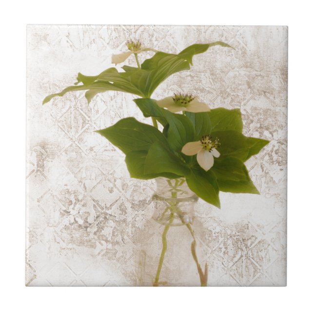 Textured Dogwood Bunch Berry In Jar Still Life Tile (Front)