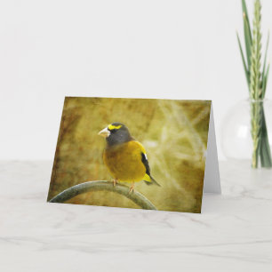 Textured Evening Grosbeak Greeting Card