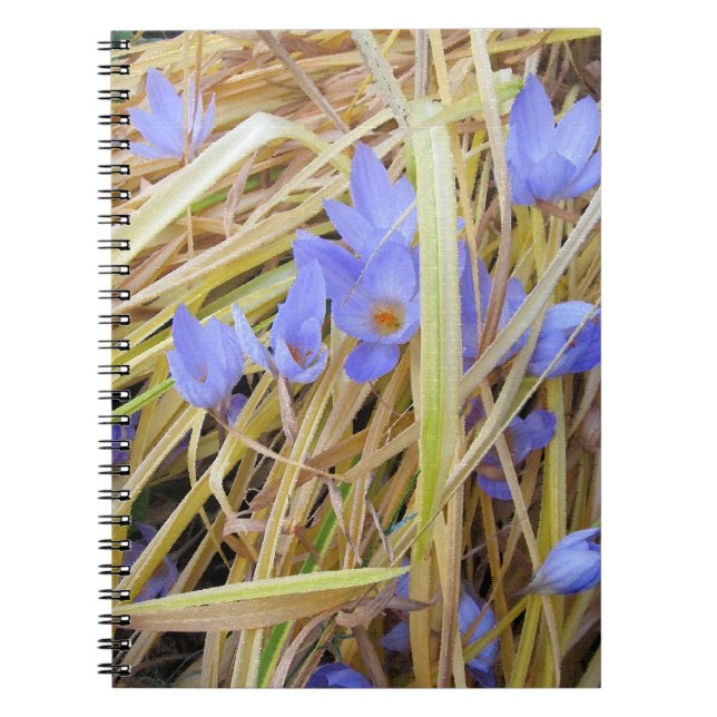 Textured Fall Crocuses in Straw Spiral Notebook. Notebook (Front)