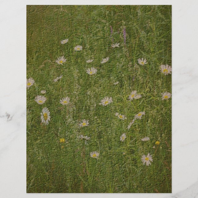 Textured Field Of Daisies Floral Scrapbook Paper (Front)