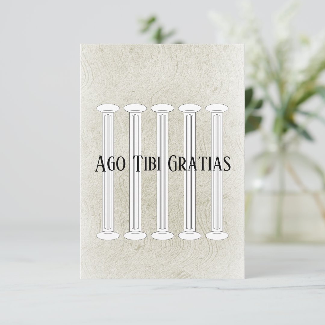 Textured Latin Thank You Card Zazzle
