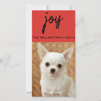 Textured Red Pet Chalkboard Photocard Holiday Card