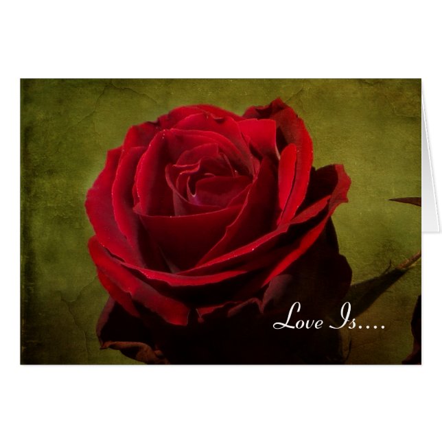 Textured Red Rose Valentine's Day Card (Front Horizontal)