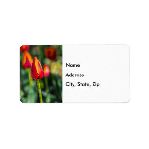 Textured Tulip Garden Address Labels