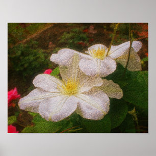 Textured White Clematis Pair Floral Art Print