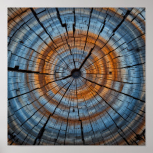 Textured Wood Grain - Artistic Tree Ring Close-Up Poster
