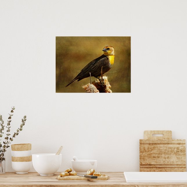 Textured Yell0w-headed Blackbird Framed Print (Kitchen)