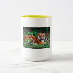 tg mug