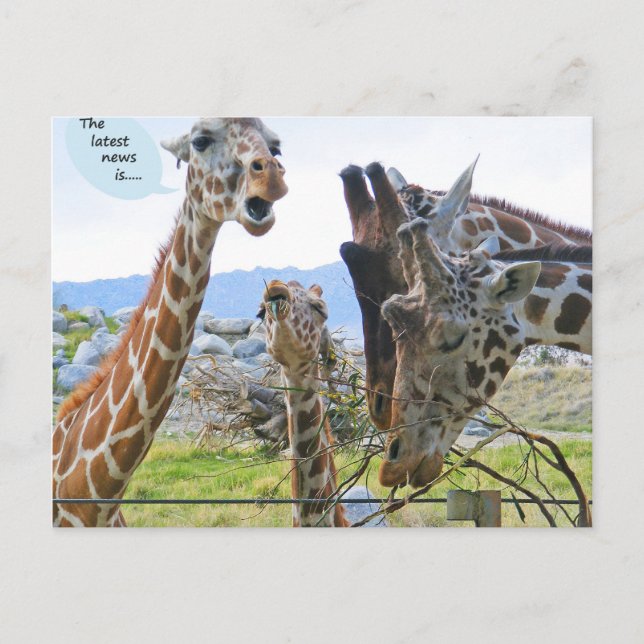 Th Latest News is Postcard (Front)