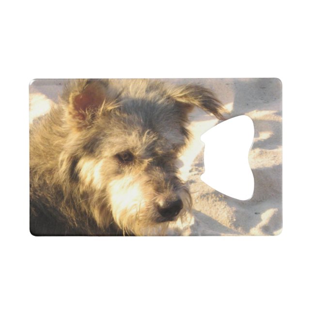 Thai Beach Dog (Front (Horizontal))